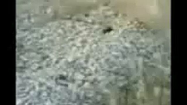 Горящая могила кишащая змеями смотреть онлайн