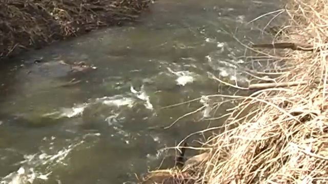 Videopostkort - fra Frederikssund og omegn смотреть онлайн