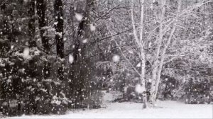 И НИСКОЛЬКО МЫ С ТОБОЙ НЕ ПОСТАРЕЛИ  ...........