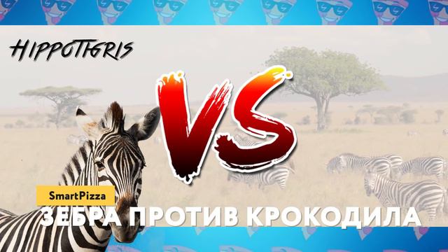 Безумные Битвы Животных, от Которых Мурашки по Коже смотреть онлайн