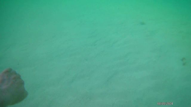 PGS Varadero пляж. 05.24 смотреть онлайн