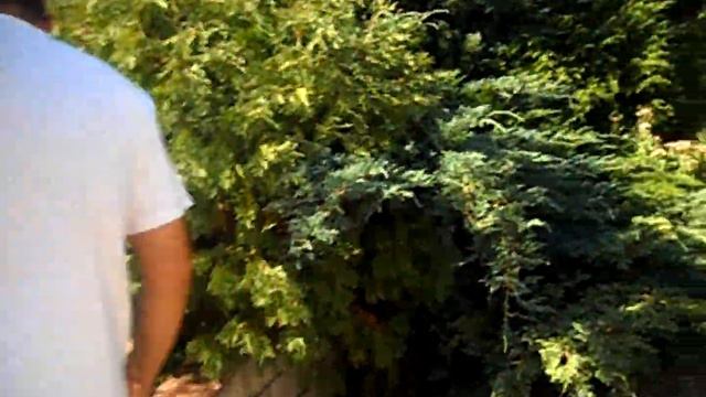 Отдых на даче в Хотяновке смотреть онлайн