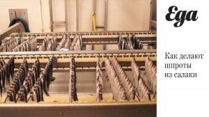 Как делают шпроты из салаки