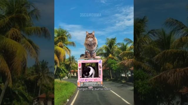 Kitty Soap Opera: Chapter 43... The Sass Mouth, Alcoholic, and Catnip Dealer Kitties смотреть онлайн