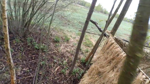 Лайфхак с подсадной уткой на селезня 26.04.2023г смотреть онлайн