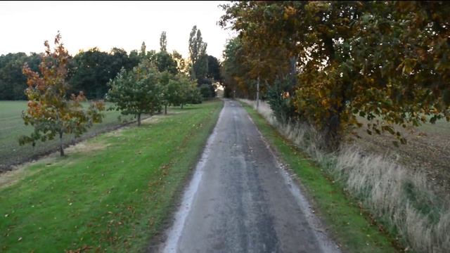 Деревянный мост. Англия. смотреть онлайн