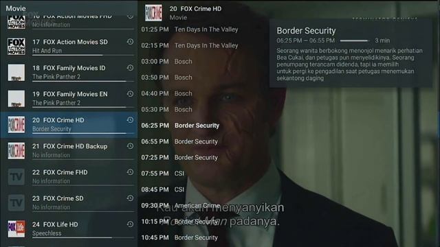 TiviMate Pro Preview on Dinobot4K смотреть онлайн