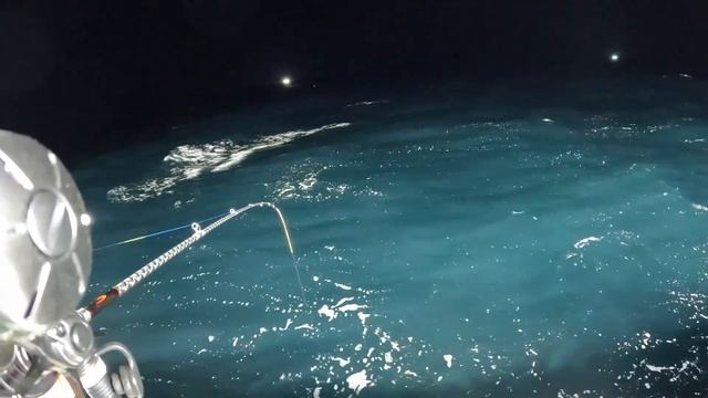 일본 후쿠이현 쓰루가시 이카메탈 게임 смотреть онлайн