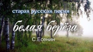 Белая берёза и кудрявый клён.Чункуров.Х