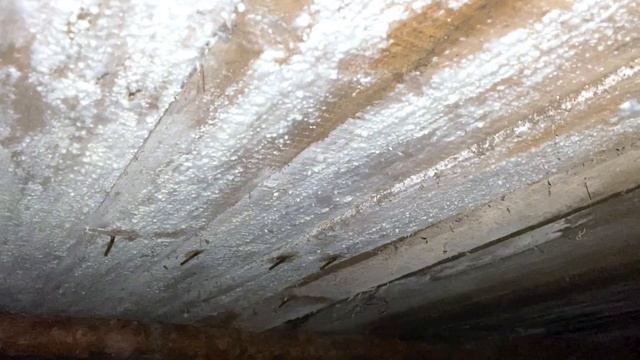 Лайфхак! Как спать в условиях без комфорта? На чем спать и как ухаживать за своей кожей в бичёвник? смотреть онлайн