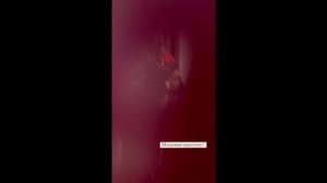 Зепюр Брутян показала, как проводит время с детьми мужа