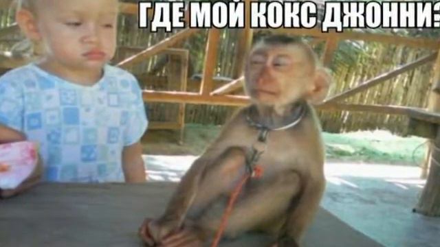 СМЕШНЫЕ КАРТИНКИ #4 смотреть онлайн