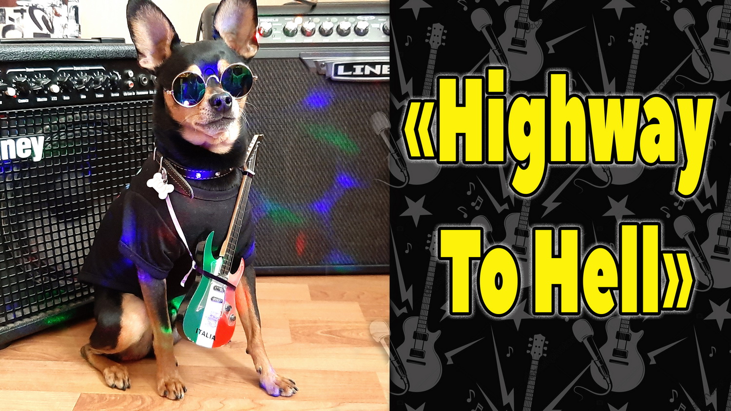 Гитарный кавер с собакой Highway to hell AС/DС. Талант Тоя. Каналу 1 год! смотреть онлайн