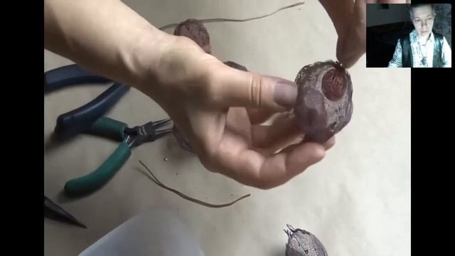 physalis 12 11 17 смотреть онлайн