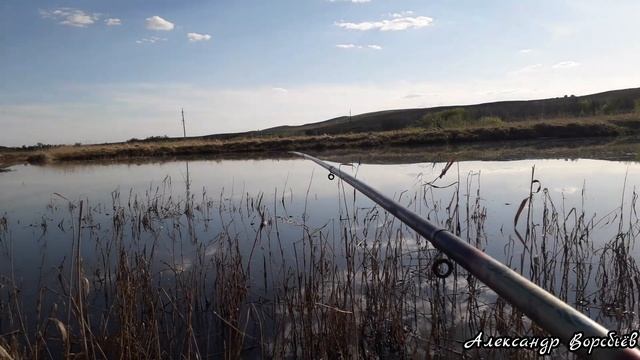 Рыбалка на поплавок на вечерней зорьке.Активный клёв Карася в зарослях камыша. смотреть онлайн