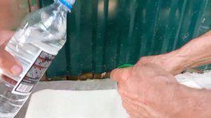 Дом в деревне. Краскопульт DEKO! Покраска деревянного дома.