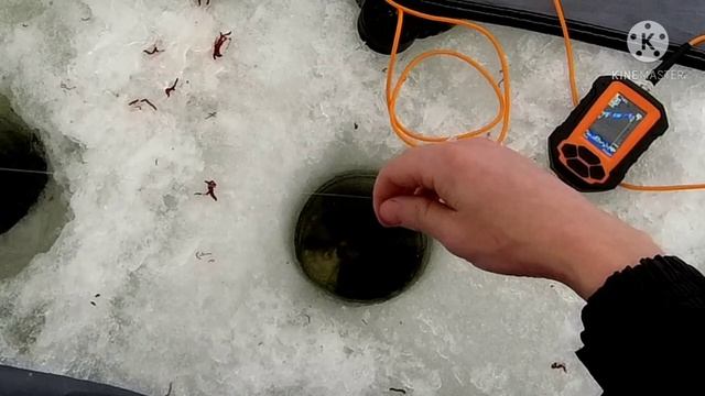 Рыбалка в палатке с ночёвкой! Зимняя рыбалка на поплавок. Можайское водохранилище. смотреть онлайн