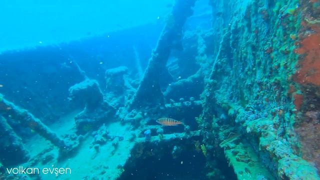 Çanakkale'de Batırdığımız Savaş Gemisi | Lundy Batığı | Scuba Diving смотреть онлайн