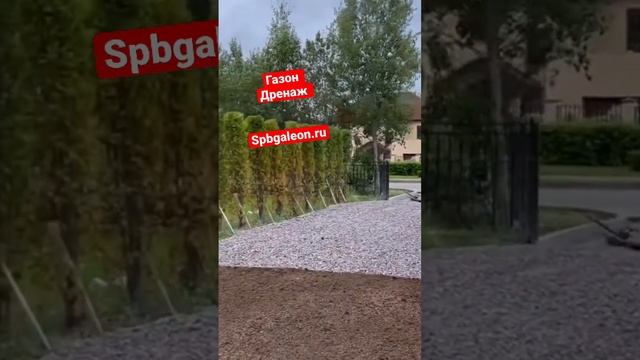 Зачем трамбовать грунт перед газоном #дача #строительство #благоустройство #сад #cottage #газон смотреть онлайн