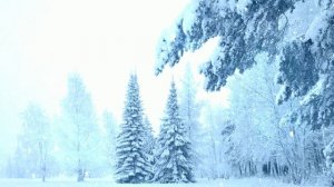 Футаж. Зимний пейзаж 56