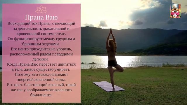 Прана Ваю. Первое видео из серии "Праны". смотреть онлайн
