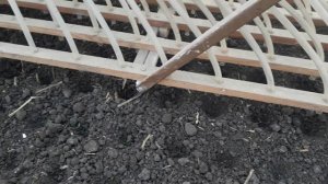 Посадка редиса от А до Я. Посев редиса в феврале в холодную теплицу.