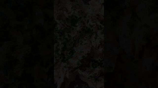 ПО-ДОМАШНЕМУ