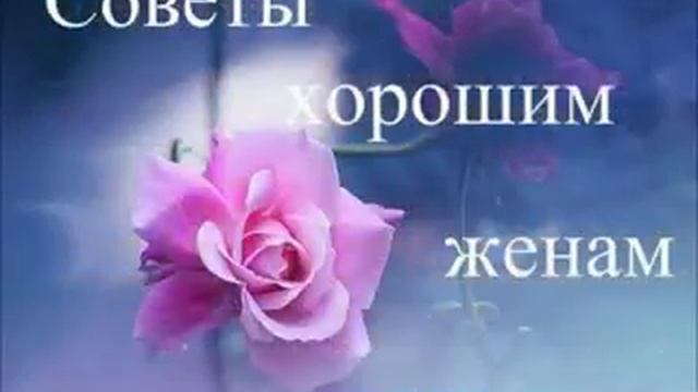 Красивый нашид смотреть онлайн