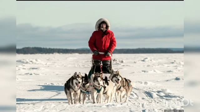 Фёдор Филиппович Конюхов — советский и российский путешественник, писатель, художник, смотреть онлайн