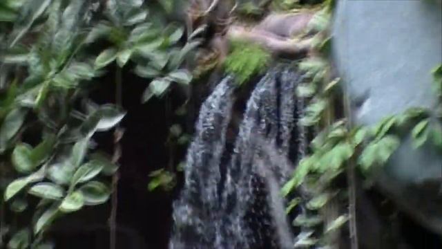 video z nové kamery jvc EVERIO HD 60 GB смотреть онлайн