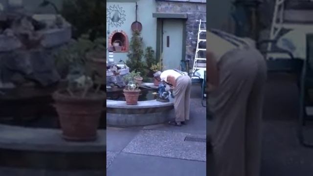 Opi The Frog Whisperer