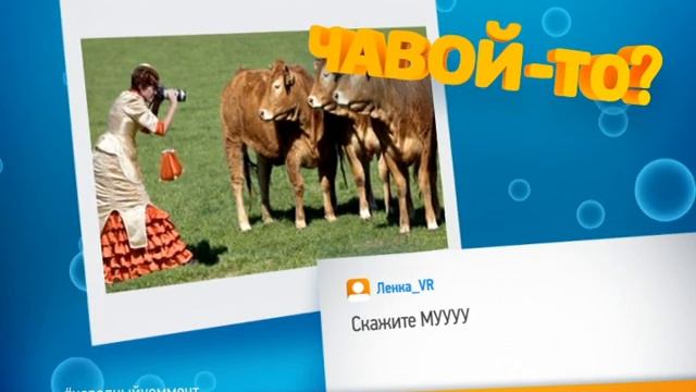 Чавой то Фотограф смотреть онлайн