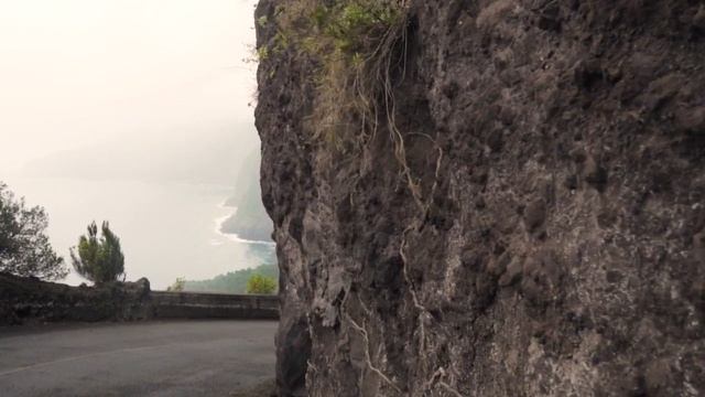 Как ИЗБАВИТЬСЯ от САМОРАЗРУШАЮЩЕЙ любовной ЗАВИСИМОСТИ и НЕ ПРИВЯЗЫВАТЬ себя к ЖЕНЩИНАМ? смотреть онлайн