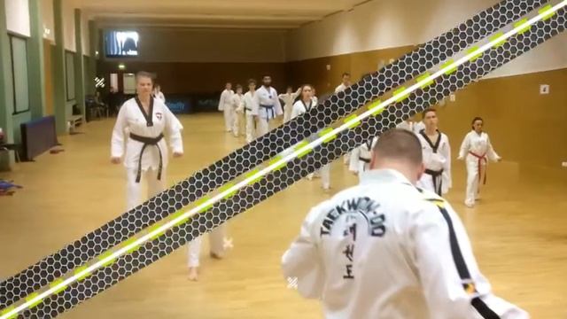 One Taekwondo Seminar смотреть онлайн