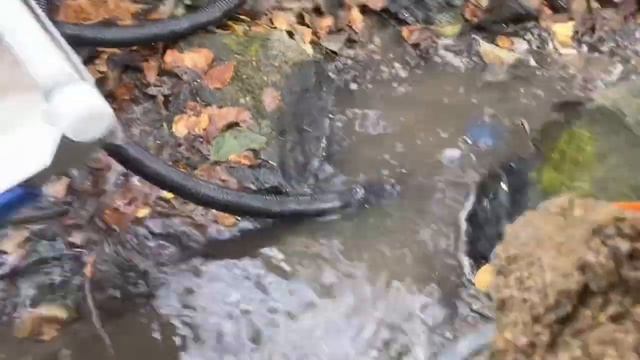 Мини-драга Дипсис-19x105-12v