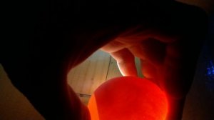 Овоскопирование куриных яиц на 7 день