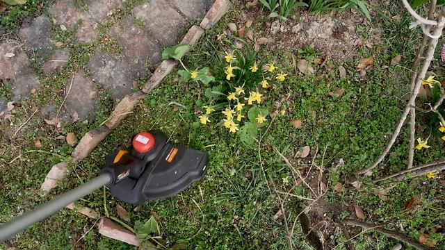 WORX WG173E DECESPUGLIATORE  IT