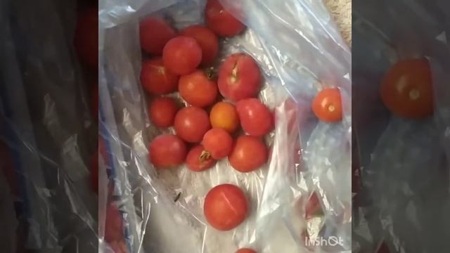 Загадки оккультизма