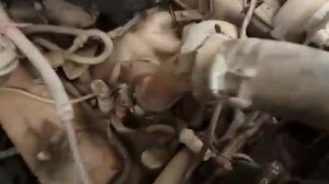 Заводим ГАЗ 53 после 15 лет простоя.
