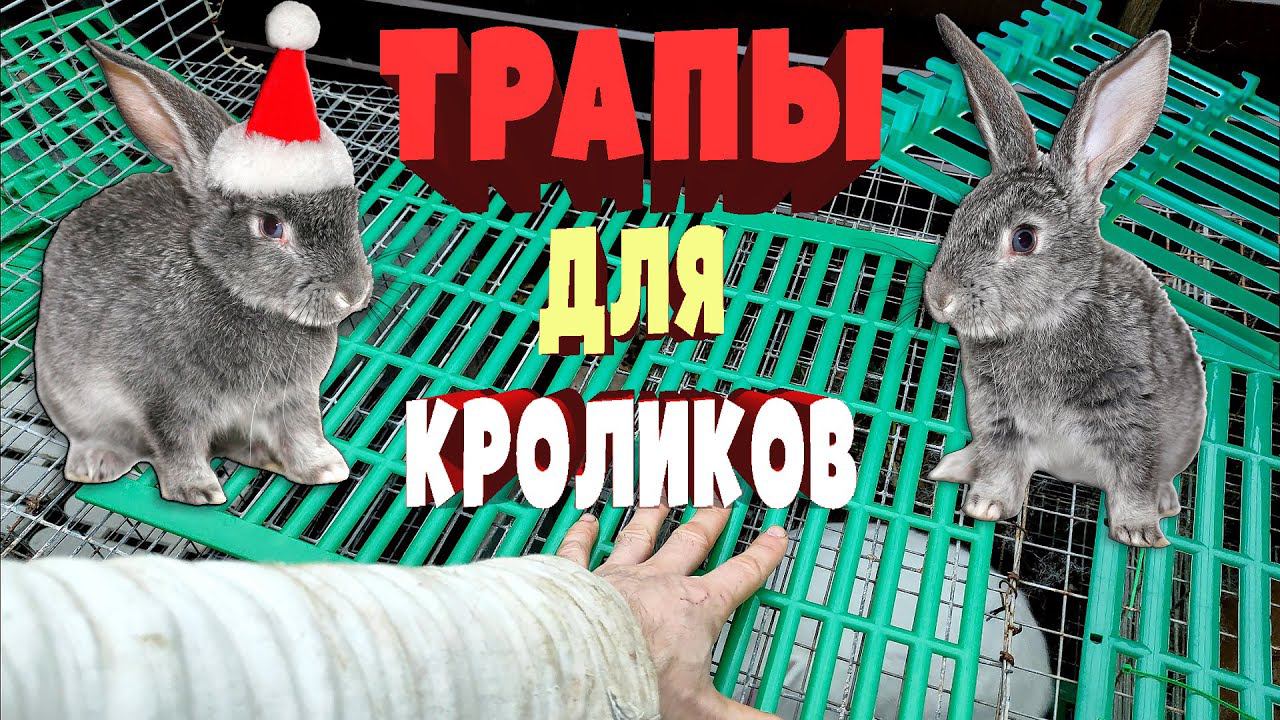 Трапы для кроликов / Какие выбрал я смотреть онлайн