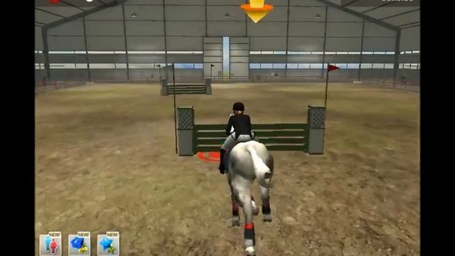 Riding Club Championships - "Getting Started" смотреть онлайн