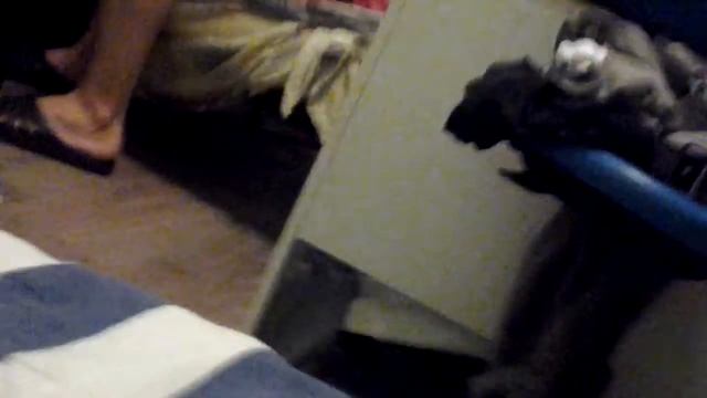 Дпс крут смотреть онлайн