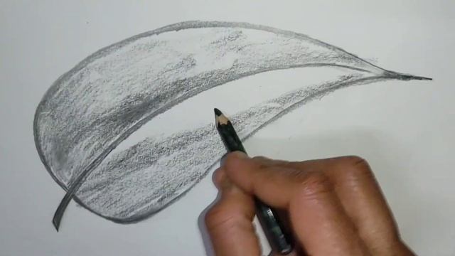 How to draw or sketch simple plane leaf? | Made by A.R.S | Thanks for watching ???? смотреть онлайн