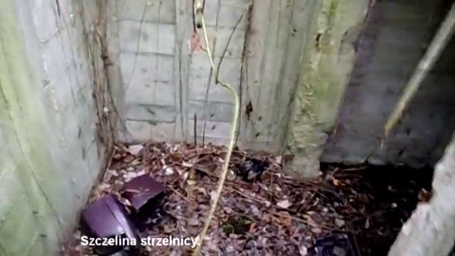 Głogów Glogau - Ostrow Tumski смотреть онлайн