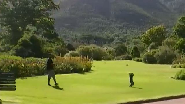 Kirstenbosch National Botanical Gardens смотреть онлайн