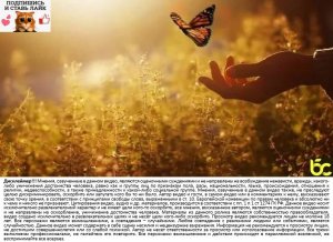 Что есть истинная любовь