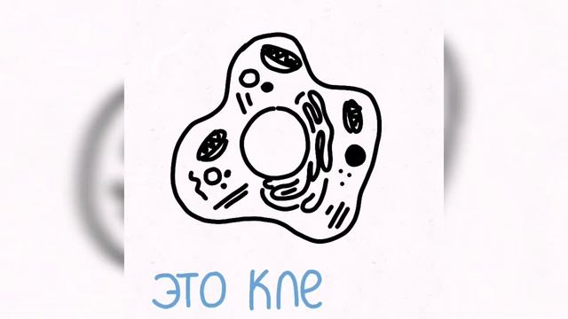 ГЕНЕТИКА С НУЛЯ ? [1 ЧАСТЬ] гены, хромосомы, днк, белки - гистоны смотреть онлайн