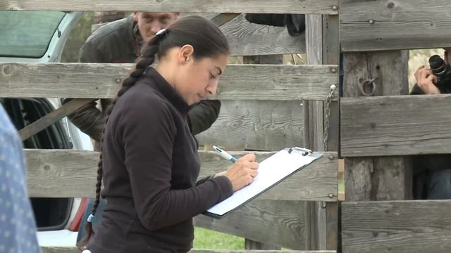 Ferrade des poulains au Mas de la Cure (Saintes-Maries) - 03 novembre2012 - En français смотреть онлайн