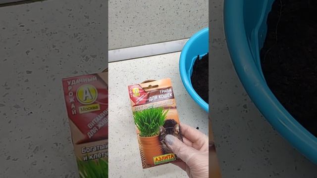 Как я делала кожу помело жёсткой и как доставала, можно посмотреть в предыдущих роликах ☺
#совет