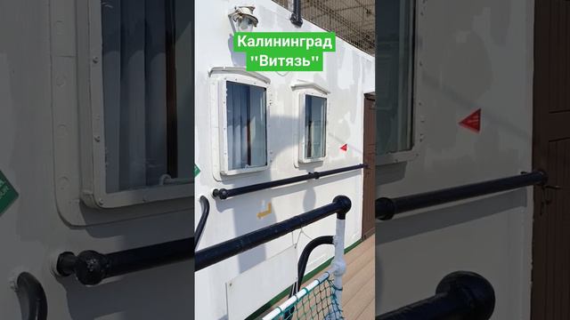 калининград#витязь#музей мирового океана смотреть онлайн